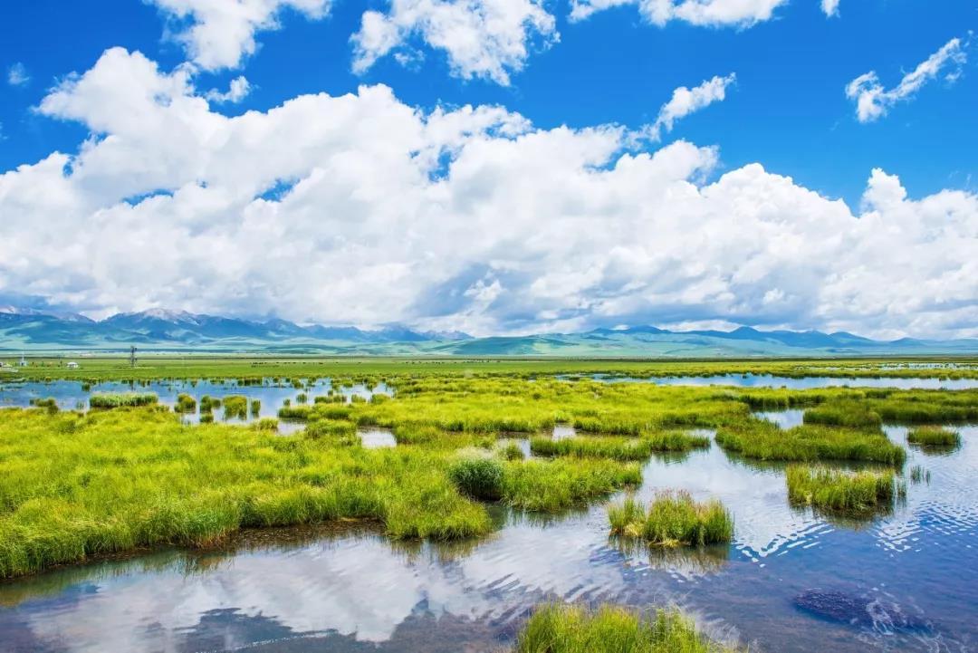 功山恋土：热尔简老终始主部节盈沼